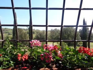 una finestra con vista su un mazzo di fiori di Agriturismo Podere Sant' Antonio ad Alberese