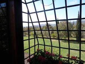 Zahrada ubytování Agriturismo Podere Sant' Antonio