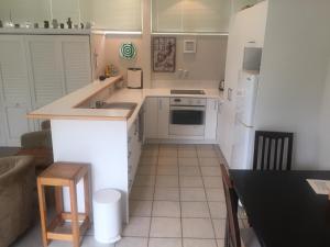 uma cozinha com um lavatório e um fogão forno superior em Palm Garden Apartment em Auckland