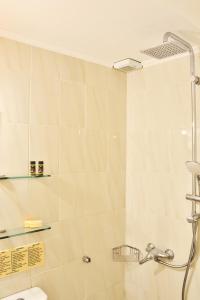 a bathroom with a shower and a toilet at Silde Studios & Apartments in Chania