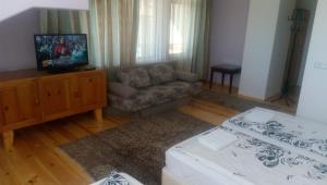 a living room with a couch and a television at Guest House Garbevi in Dobrinishte