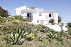 a white house on top of a hill with plants at Villa Vale Grande in Tavira