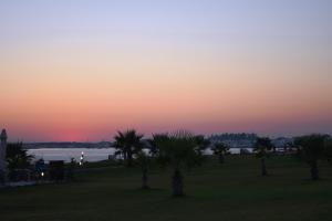 a sunset over the water with palm trees in a field at Amphora Hotel & Suites in Paphos