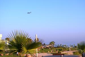 a view of a park with palm trees and the ocean at Amphora Hotel & Suites in Paphos