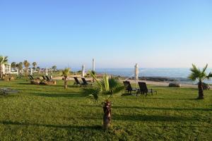 a palm tree in a field with chairs and the ocean at Amphora Hotel & Suites in Paphos
