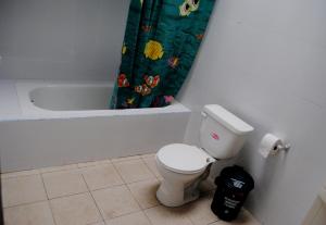 a bathroom with a toilet and a shower curtain at Hostal el castillo ingapirca in Ingapirca