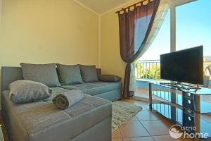 a living room with a couch and a television at Apartments Salvore in Crveni Vrh