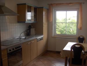 梅德巴赫的住宿－瑞士度假公寓，一个带水槽和窗户的小厨房