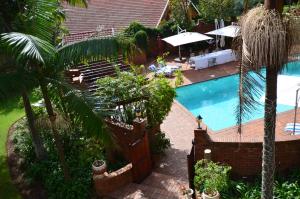 an overhead view of a swimming pool with palm trees at Summerview Boutique Hotel & Conference in Johannesburg