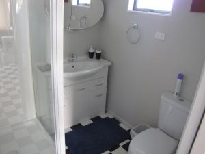 a bathroom with a sink and a toilet and a shower at Cruz Inn in Featherston +9 photos