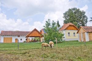 Állatok a turistaházban vagy a közelben
