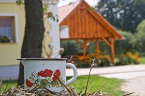 A garden outside Harmatcsepp-Vendégház