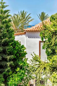 a white house with a bunch of green trees at Las Americas Family Inn in Playa de las Americas
