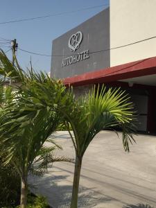 una palmera frente a un edificio en Intimisimo Autohotel Adults Only Ciudad Industrial en Veracruz