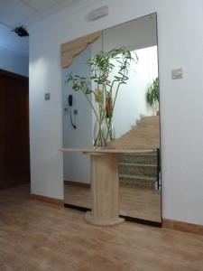 un espejo en una habitación con una mesa con una planta en Hostal la Campana en Motril