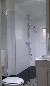 y baño con ducha, aseo y lavamanos. en San Leonardo House Bologna, en Bolonia
