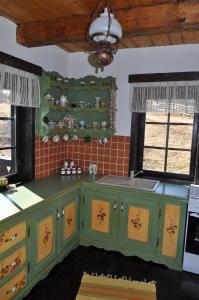 a kitchen with a green island in a room at Casuta Bunicii in Bran