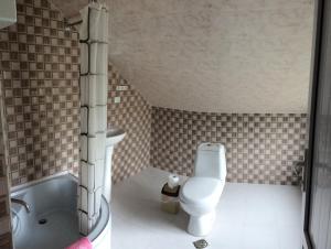 un bagno con un water, un lavandino e una vasca di Mari Guest House a Telavi
