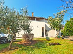 Ein Garten an der Unterkunft Apartments Duilija 1301