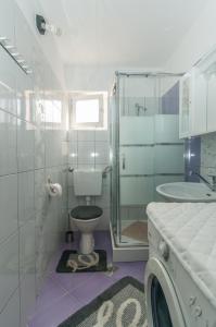 a bathroom with a toilet and a glass shower at Zora Apartment in Mali Lošinj