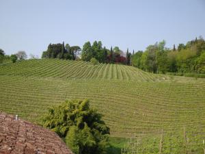 Paesaggio naturale nelle vicinanze dell'hotel