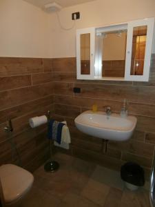 a bathroom with a sink and a toilet and a mirror at Petites Fleurs Cogne in Cogne