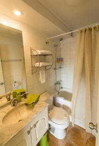 a bathroom with a toilet and a sink and a tub at EcoApart Concepción in Concepción +49 photos