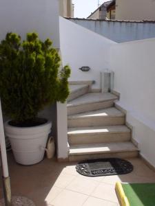 a stairway with a potted plant next to a stair case at Marine House Andrianna -Adults only in Siviri