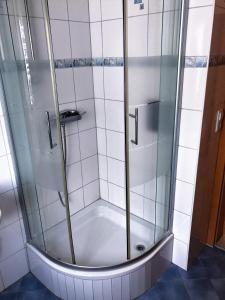 y baño con ducha y puerta de cristal. en Ferienwohnung Familie Ober, en Rotthalmünster