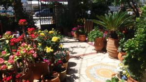 a group of potted plants and flowers in pots at Eleni Studios in Agios Nikolaos