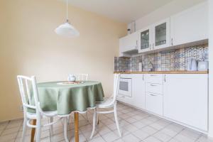 a kitchen with a table and chairs in a room at Apartman Labe in Ústí nad Labem