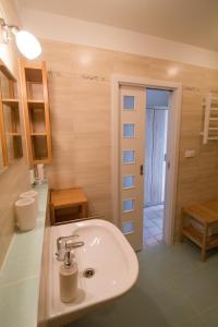 baño con lavabo y puerta a una habitación en Apartman Labe en Ústí nad Labem