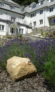 a rock in a field of purple flowers in front of a building at Leśna Polana- blisko centrum, Mini Spa, cicha, spokojna okolica, parking gratis in Krynica Zdrój