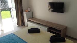 TV a/nebo společenská místnost v ubytování Apartments Stevo Nikočević