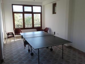 Facilități de tenis de masă la sau în apropiere de Guest house Pribojska Banja