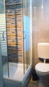 a bathroom with a toilet and a glass shower at ALISA Sea View Apartment in Kotor