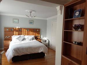 a bedroom with a bed and a book shelf at Highfields Self Contained Studio in Newry