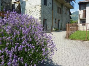 A garden outside Piccola Perla A Livo