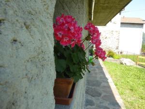 A garden outside Piccola Perla A Livo