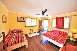 two beds in a room with yellow walls and wooden floors at Cafe de la Suerte in Pavones