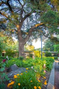 Gallery image of El Bonita Motel in St. Helena