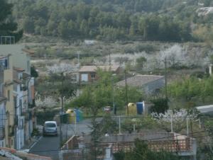 Príroda v okolí apartmánu