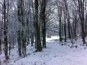 Albergo Generale Cantore - Monte Amiata during the winter