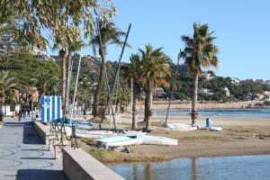 ベニカシムにあるAcogedor Apartamento en Benicasimの砂浜とヤシの木の上のボートがあるビーチ