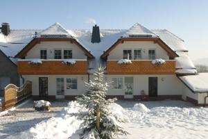 a house in the snow with a christmas tree at Schweizes Ferienhof in Medebach