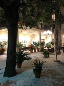 Zahrada ubytování Hotel La Primula