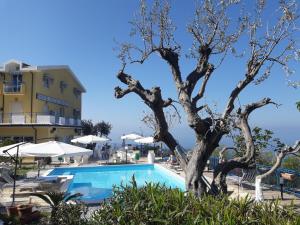 Fotografie z fotogalerie ubytování Hotel Piccolo Mondo v destinaci Acquappesa