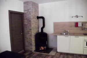 Kuchyň nebo kuchyňský kout v ubytování Ferienwohnung Alpklang + 37 fotografií