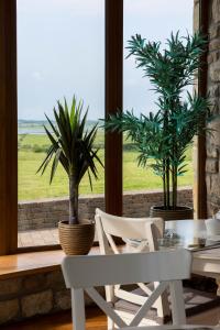 a dining room with two potted plants and a table and chairs at Down Yonder Boutique B&B in Sligo