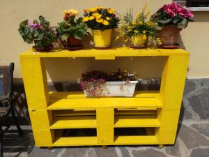 Fotografie z fotogalerie ubytování The Yellow House v destinaci Fiumicino